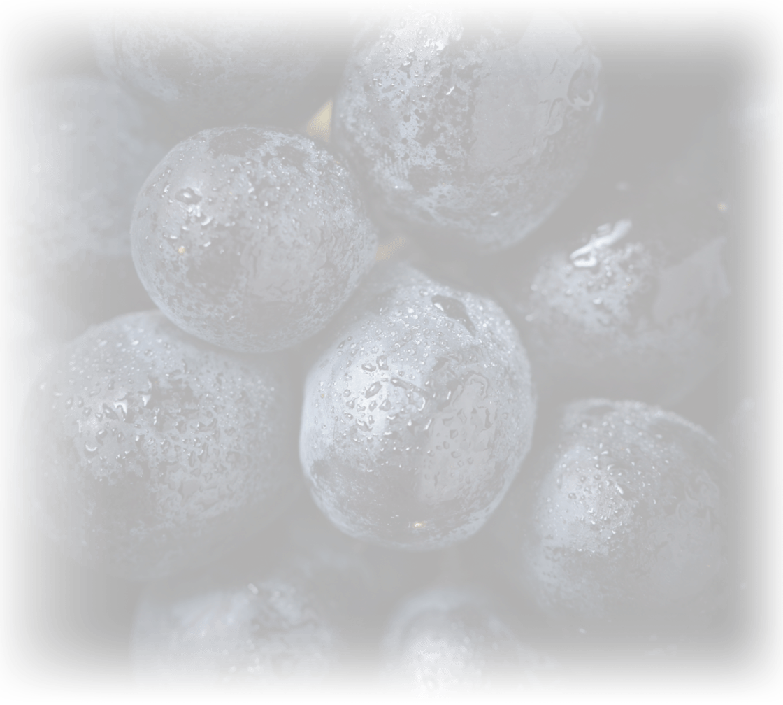 Fundo Uvas